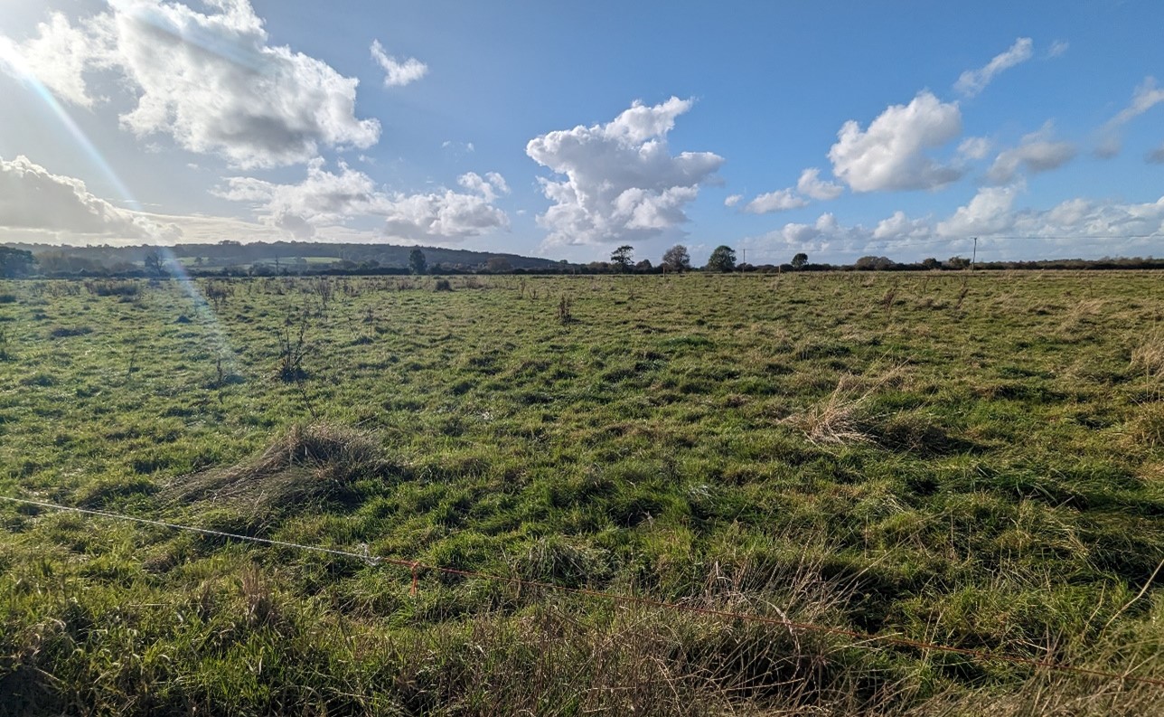 Flat floodplain backdropped by Wytham Hill