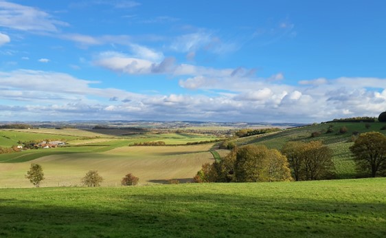 Elevated rolling downland (Moulsford)