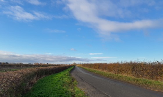 Narrow country lane flanked by low-clipped hedgerows (near Lydford)