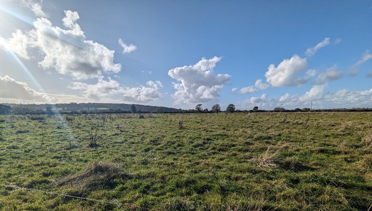 Wytham Hill is prominent in views from the Thames floodplain