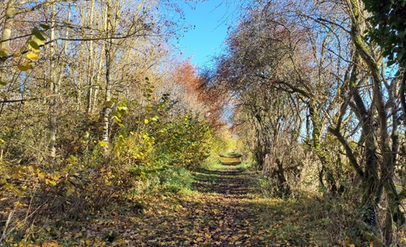 Public rights of way provide access to the landscape near Charney Bassett