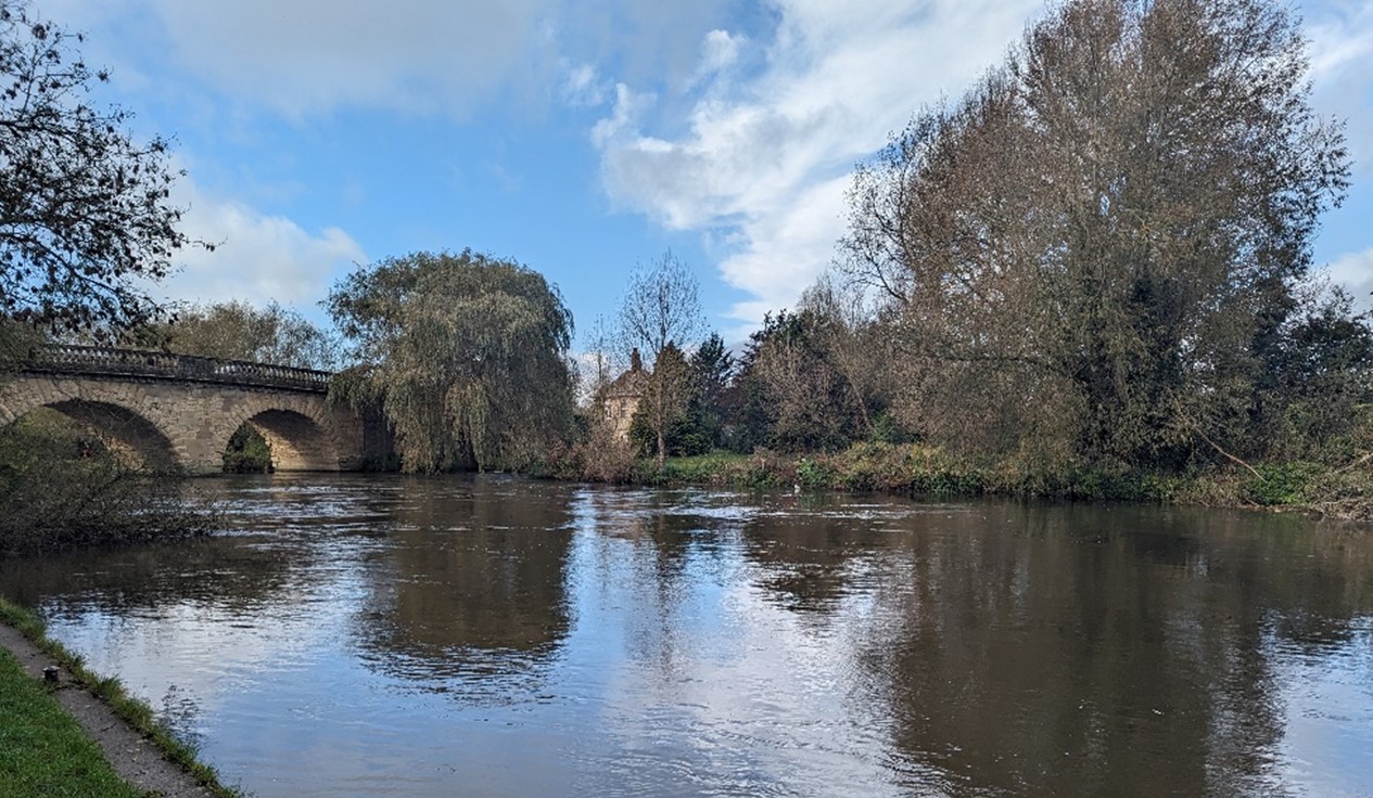River Thames at Swinford Bridge