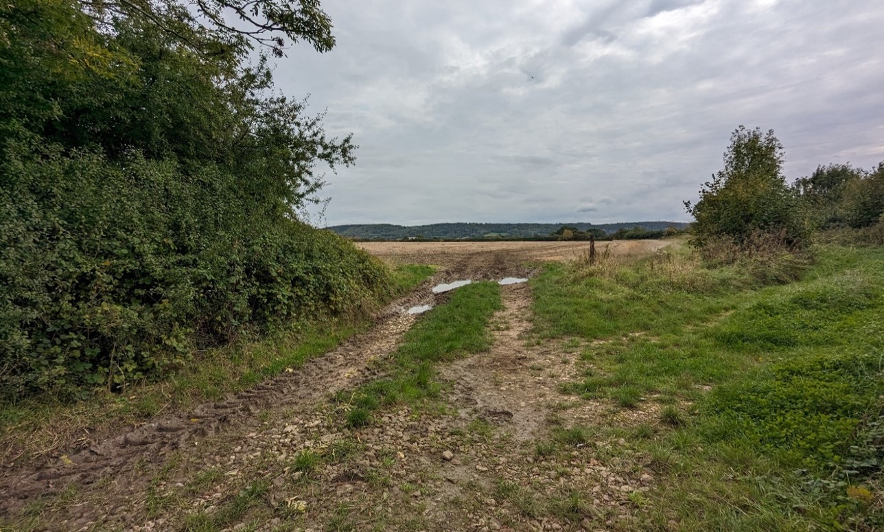 Large-scale arable field with the Chiltern hills forming a wooded backdrop (near Emmington)
