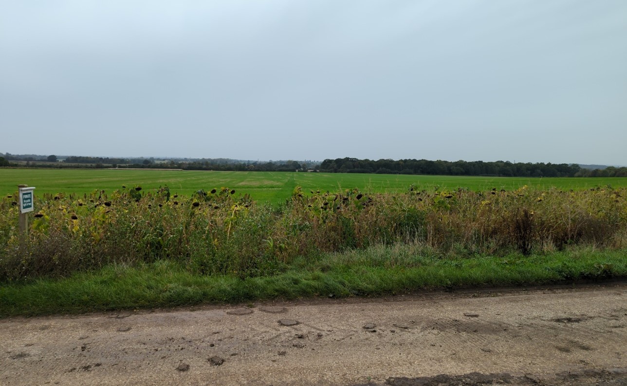 Large-scale arable fields with woodland block (near Larchford)