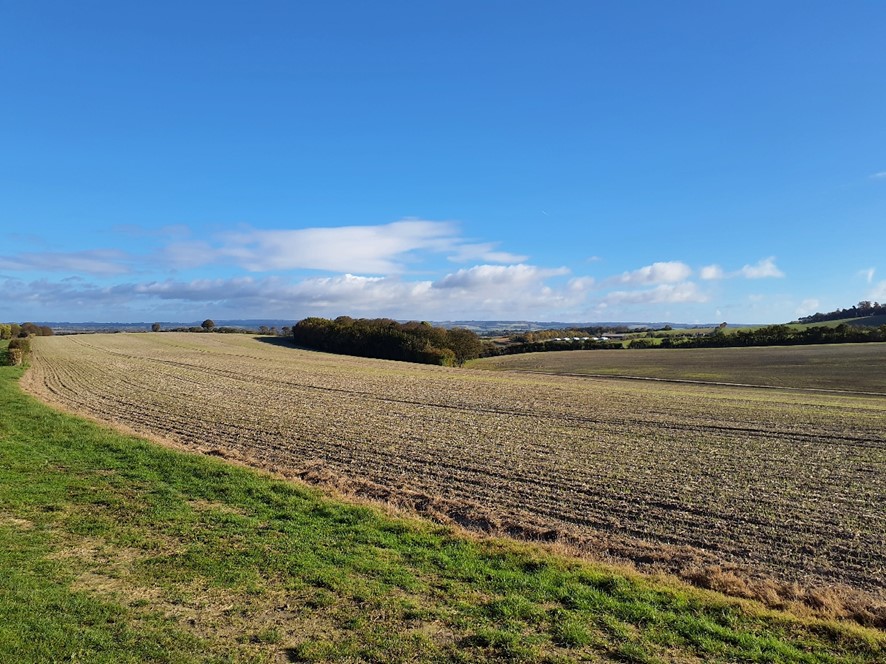 LCA 1B Large arable fields on Aston Upthorpe Downs