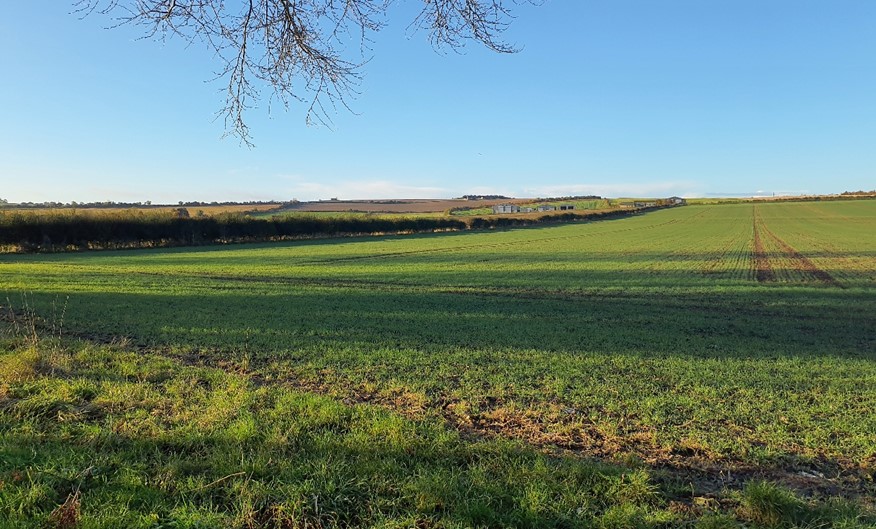 LCA 9C: Large-scale arable farmland near West Hagbourne
