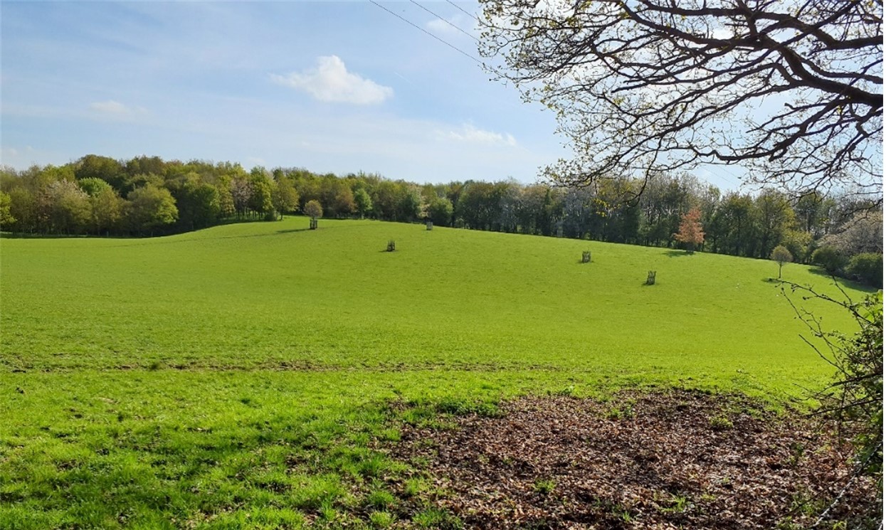 Gently sloping farmland and woodland, with new tree planting