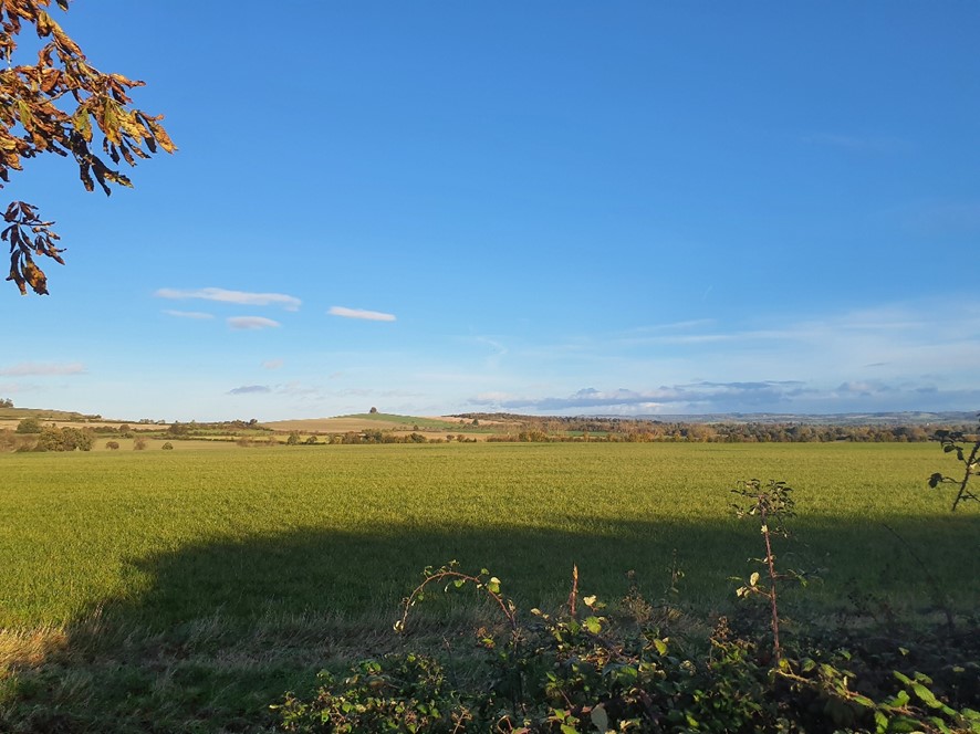 Open pasture with views to Sinodun Hills 