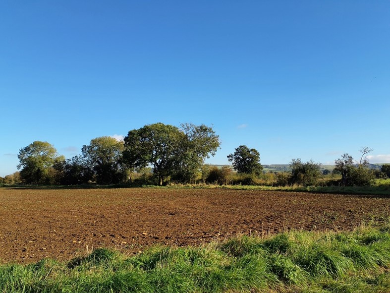 LCA 11B: Flat, large-scale arable fields with the North Wessex Downs on the horizon 