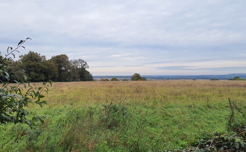 Long-distance view north from Shotover Country Park