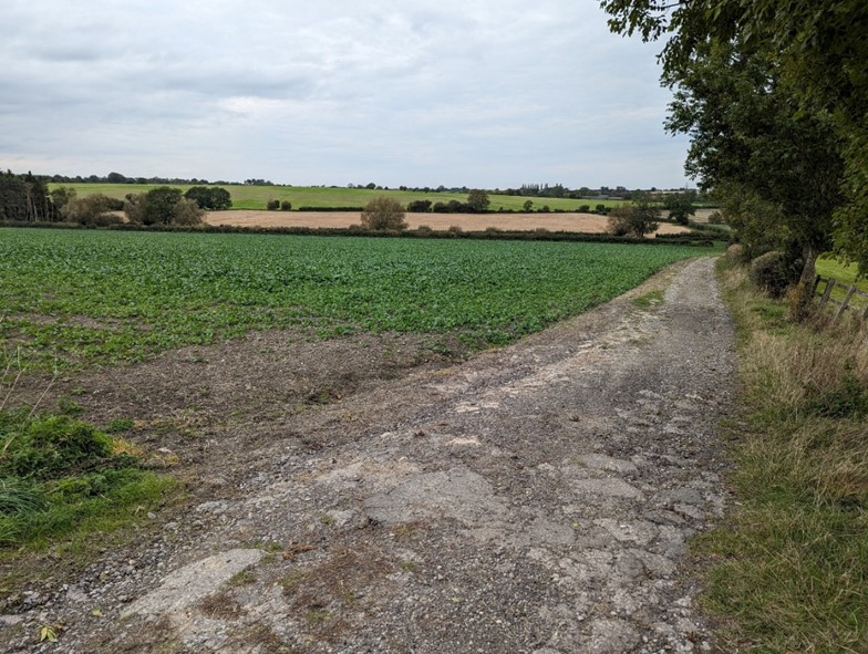 LCA 11C: Hedgerows with occasional mature trees bound arable fields 