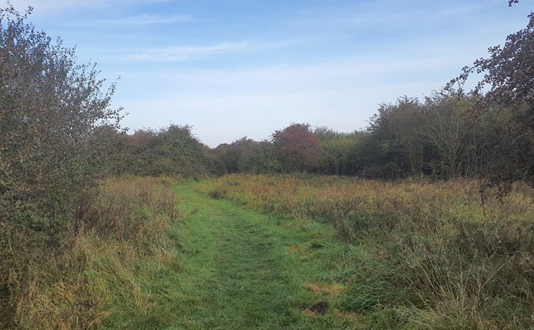 Footpath through low-lying floodplain near Otmoor 