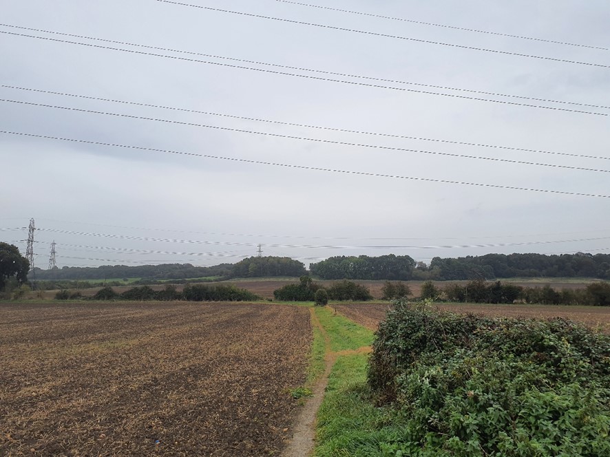 LCA 12D Powerlines and arable farmland transected by hedgerows 