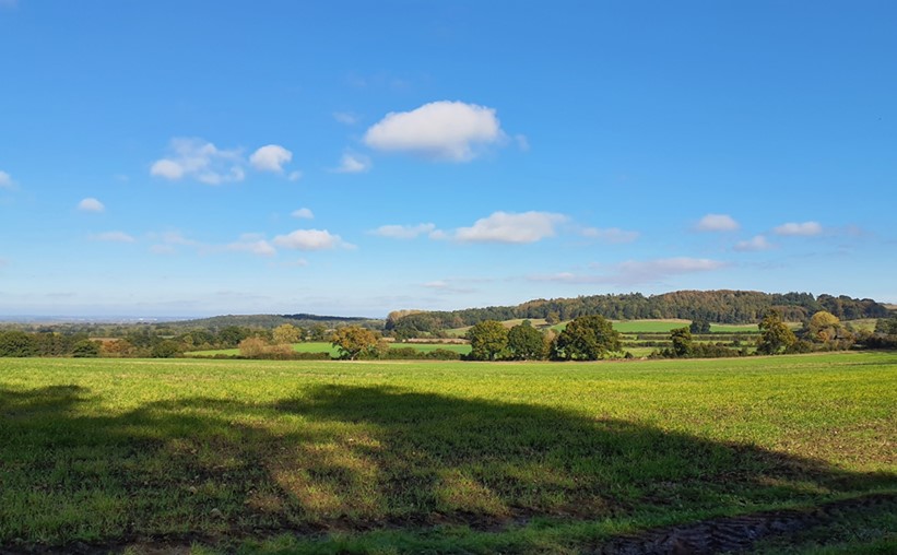 Long views north towards Badbury Forest