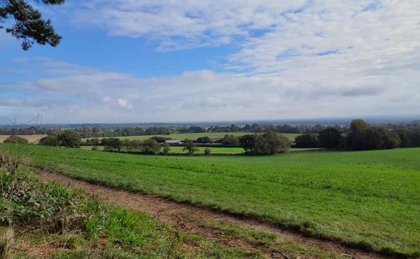 View south from Faringdon Hill toward North Wessex Downs National Landscape