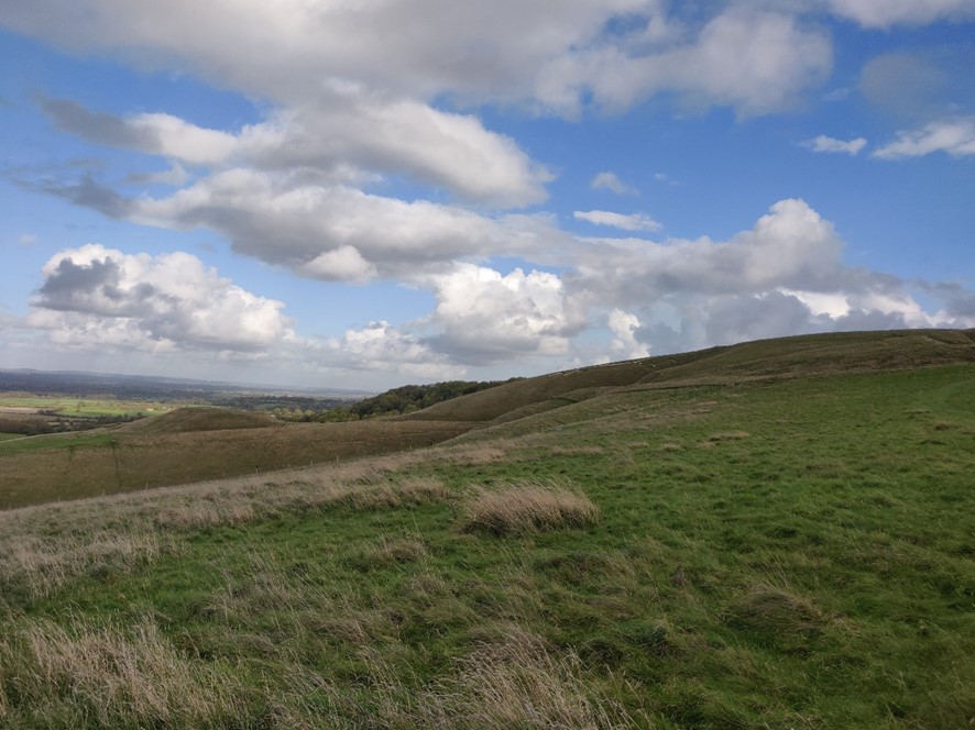 LCA 1A View east along open undulating grassland on Whitehorse Hill