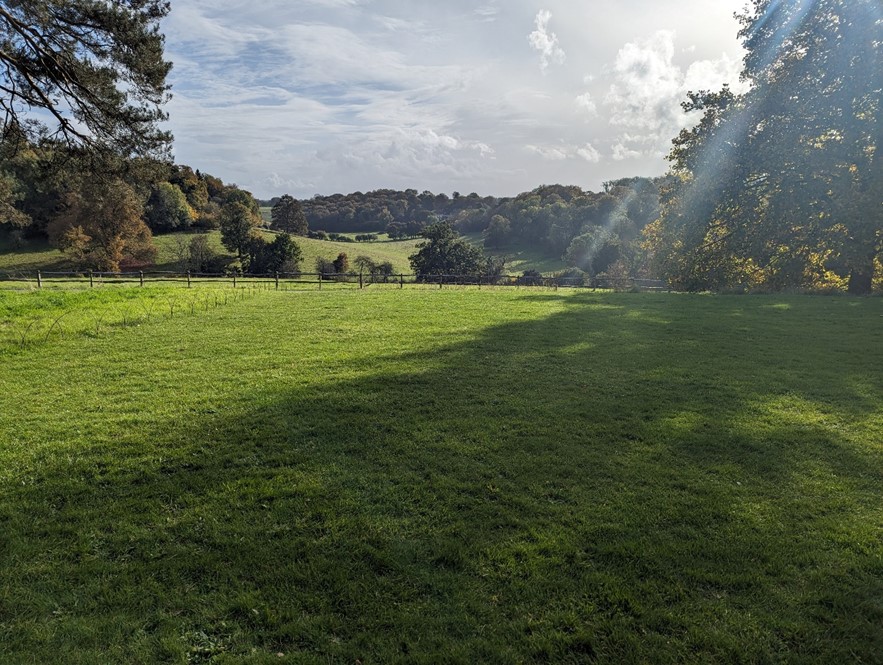 Designed parkland landscape at Greys Court