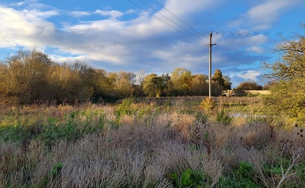 Floodplain grazing marsh near Dorchester