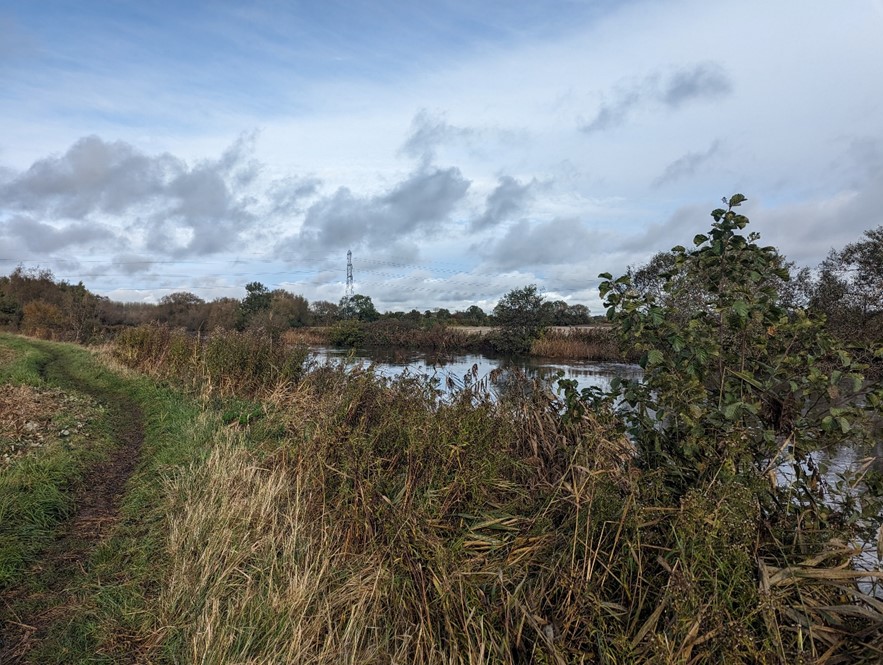 LCA 14D riparian vegetation along the Thames with electricity pylon route
