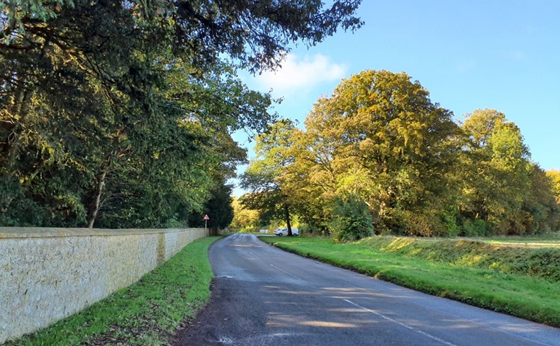 Woodland-flanked road on approach to Coleshill