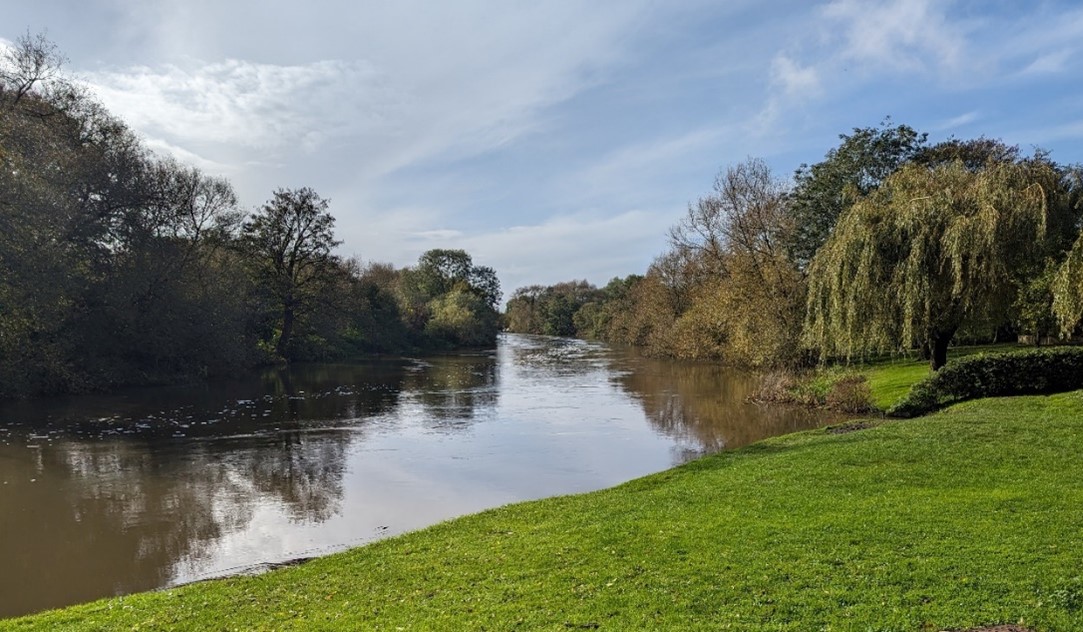 Riparian vegetation along the naturalistic Thames