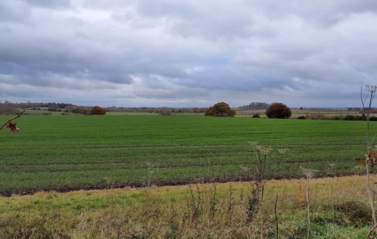 Open arable fields with long-distance views