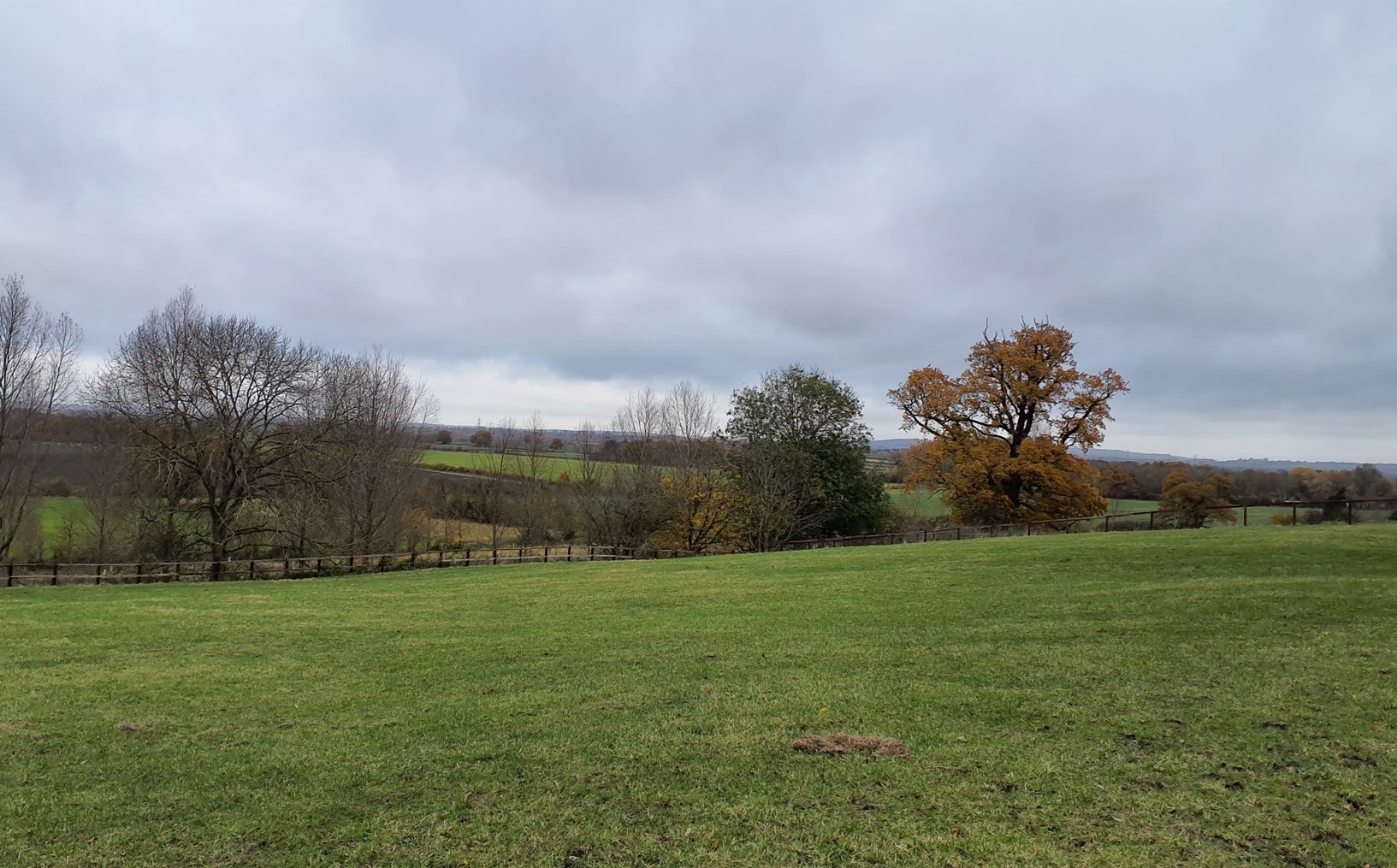 Parkland character at Hinton Waldrist