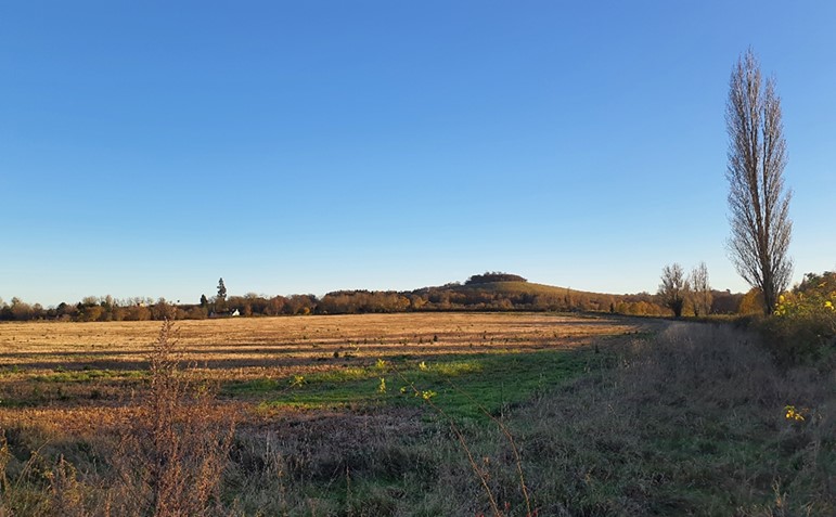 View south to Whittenham Clumps from low-lying floodplain