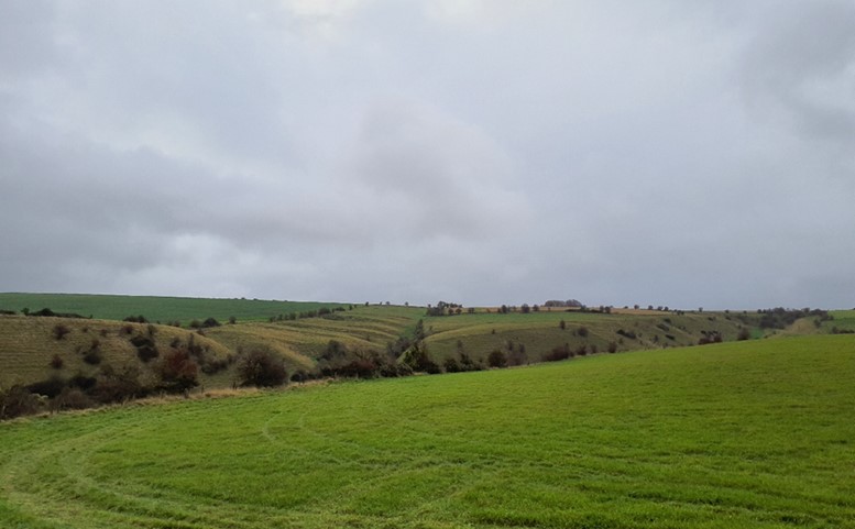 Open farmland across steep chalk slopes