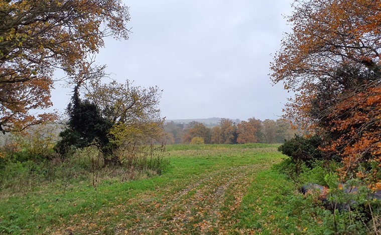 Dispersed woodland blocks across the footslopes