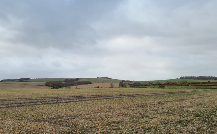 Arable fields across the slopes backdrop the low-lying vale