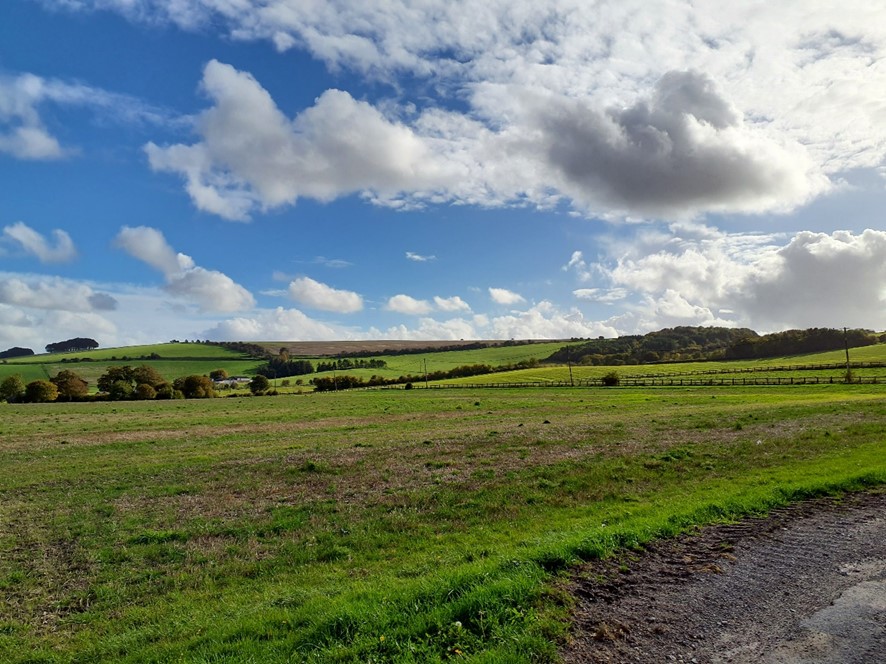 LCA 6A Open fields with occasional woodlands