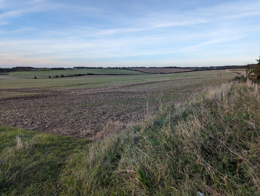 LCA 6B Undulating fields with low hedgerows