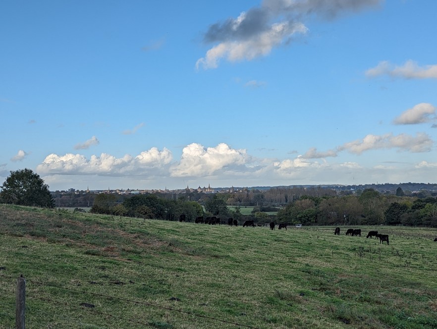 LCA 7B: Views across slopes to Oxford city