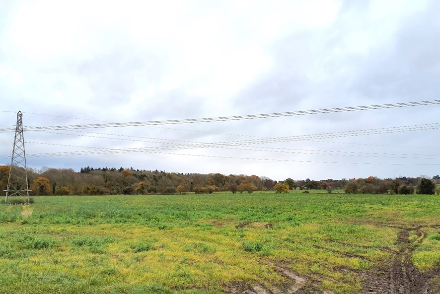 LCA 8B: View across flat arable land towards woodland at Appleton Upper Common